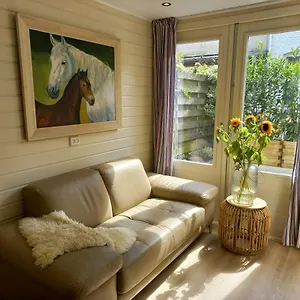 Apartment Le Papillon, Zandvoort